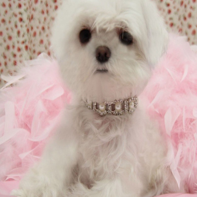 pearl necklace collar for dogs