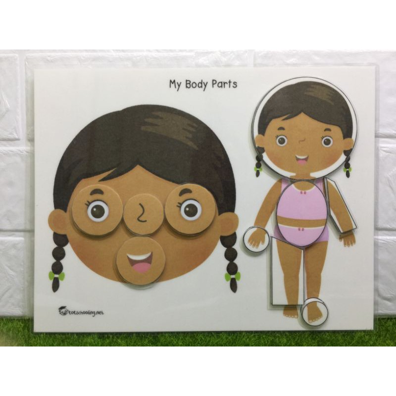 My Body Parts Laminated Worksheet Girl Shopee Philippines