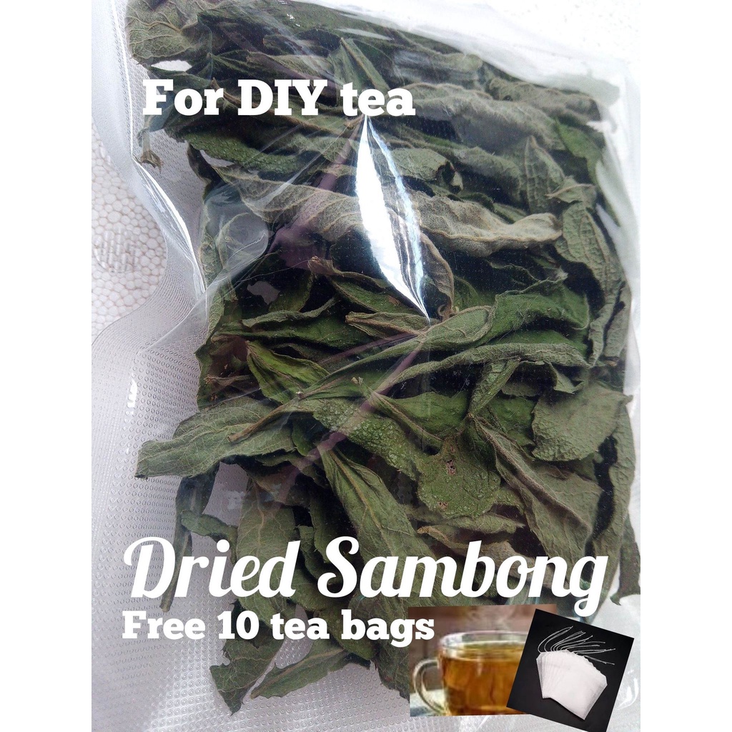 sambong-leaves-dried-or-fresh-leaves-shopee-philippines