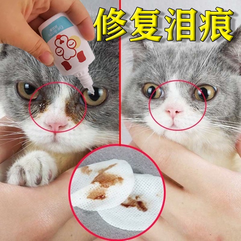 Cat eye drops cat tear removal artifact antibacterial anti-inflammatory ...