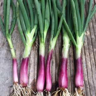 bunching