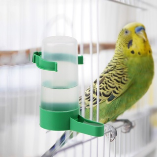 Pet Bird Supplies Dispenser Bird Water Drinker Feeder Bird Feeders 10pcs / lot