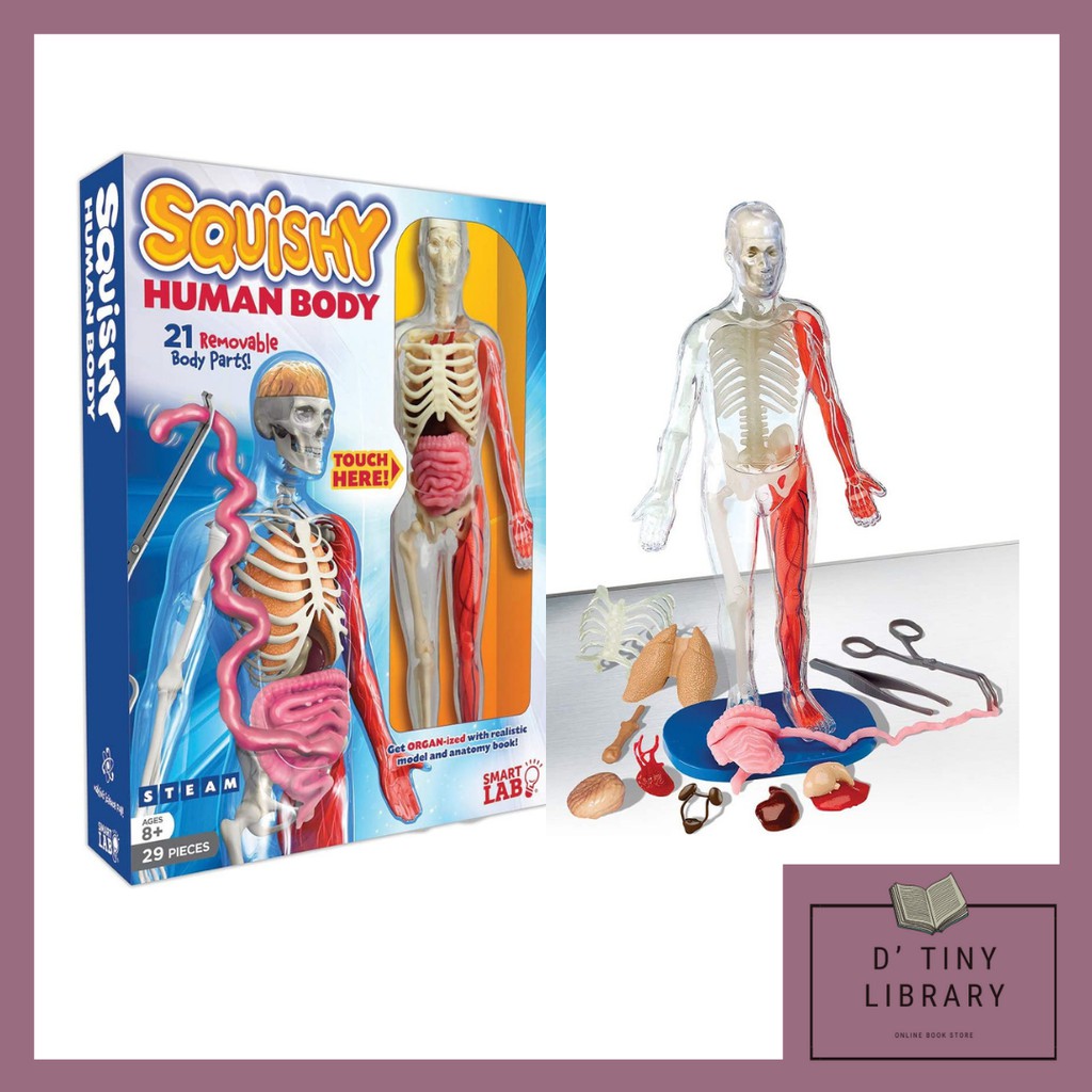 Body Parts Authentic Squishy Human Body Toy for Homeschool (English