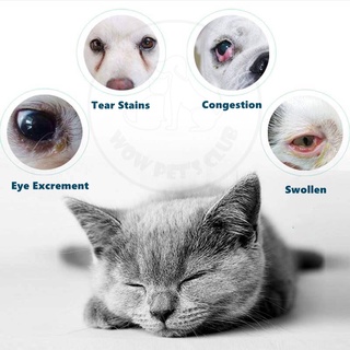 ✼✢WOWPETSCLUB 60ml Eye Drops Dog Cat Pet Animal Mild Solution Irritations Relieve Pink Eye Treatment