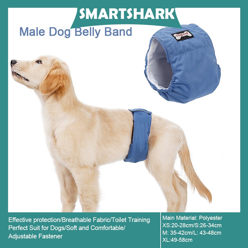 What Is The Best Belly Band For Dogs