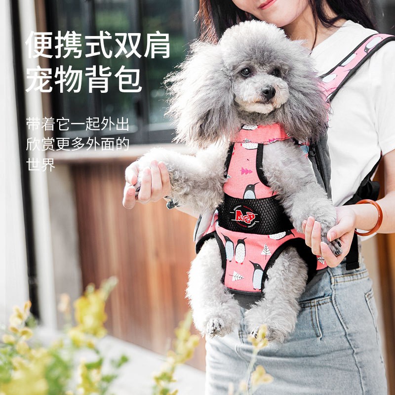 dog backpack front