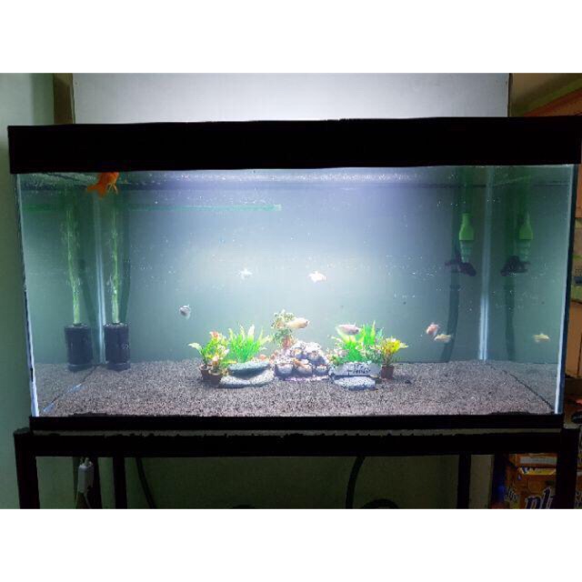 50 gallon tank