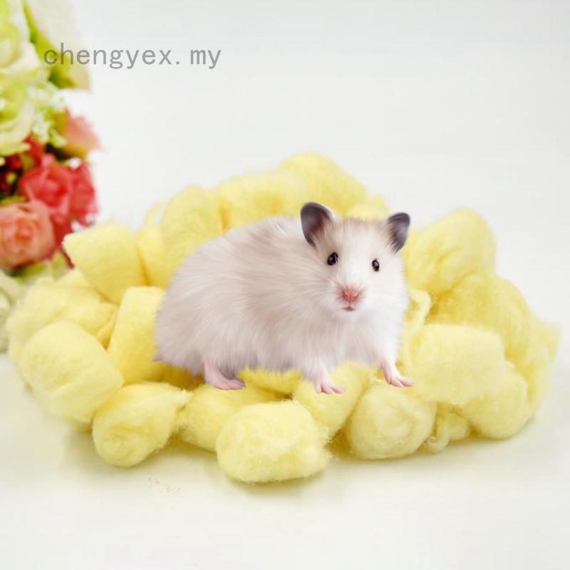 used hamster supplies