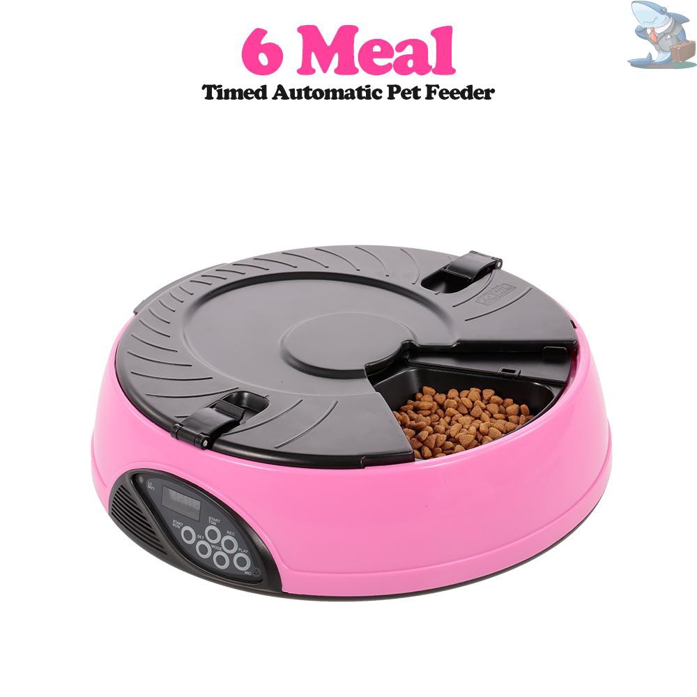 timed dog food bowl