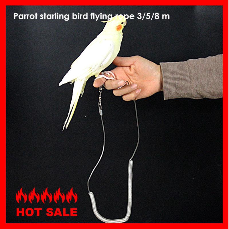 bird stands for sale