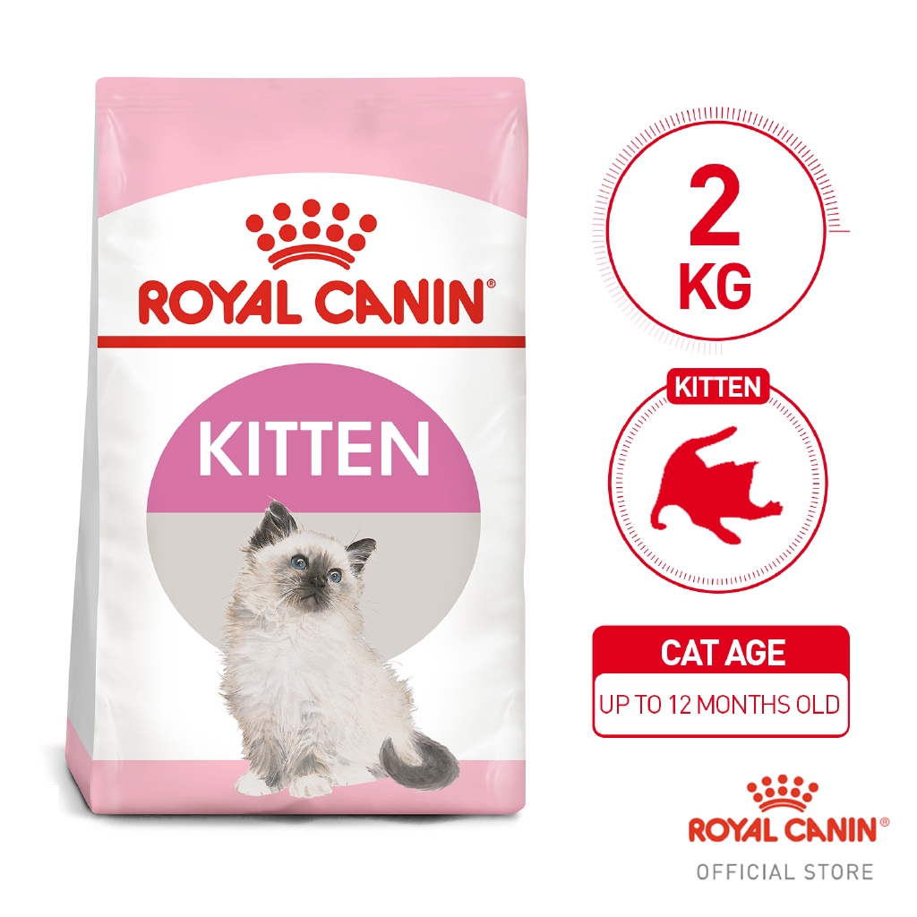 royal canin kitten 36 2 kg