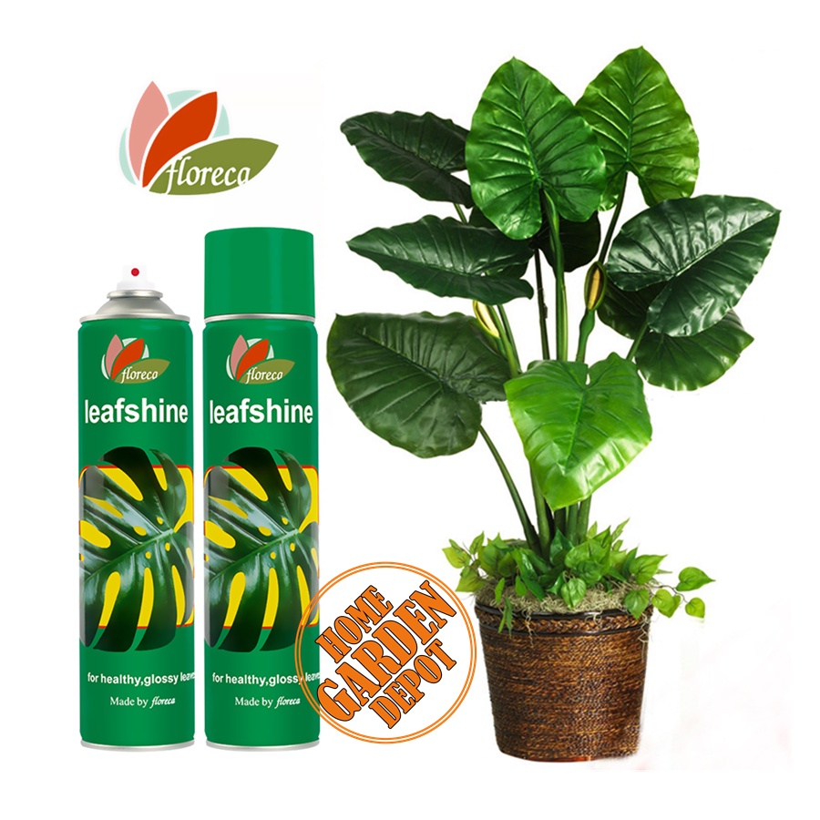 Floreca Leaf shine Spray for plant Leaf Polish and foliage 600ml Shopee Philippines