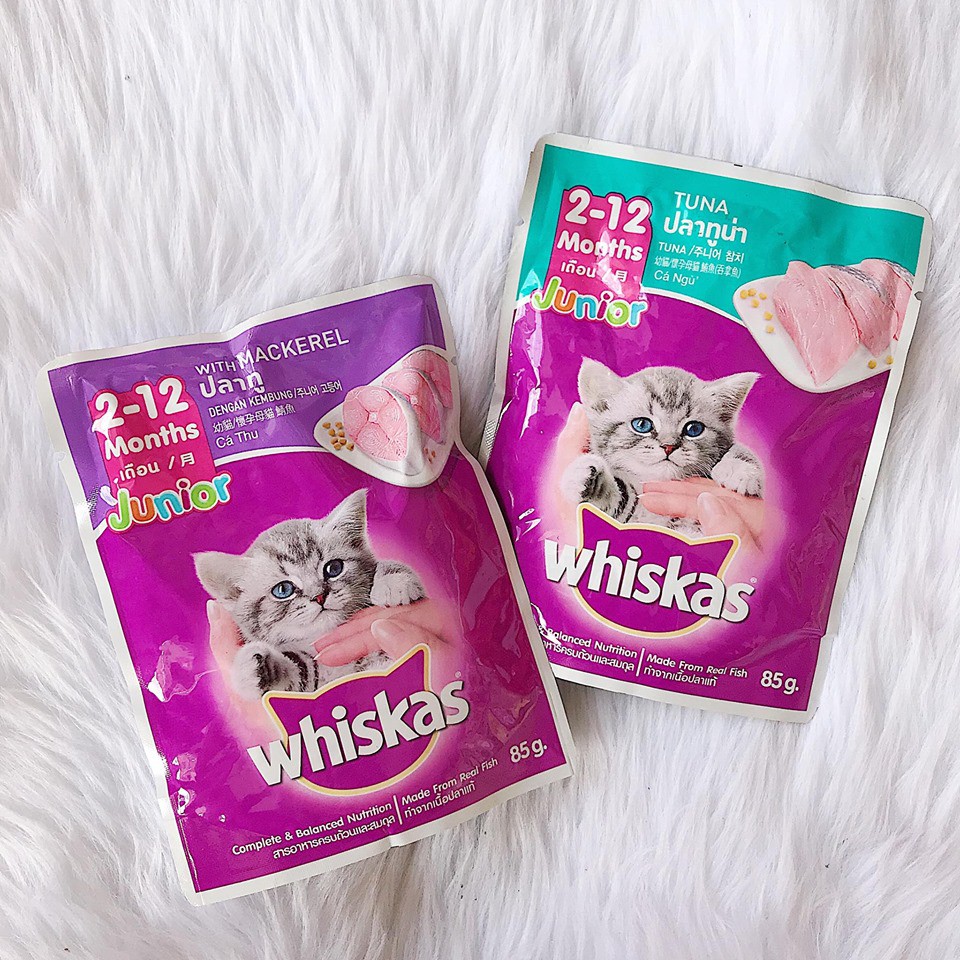 WHISKAS POUCH JUNIOR FOR KITTEN 85G Shopee Philippines