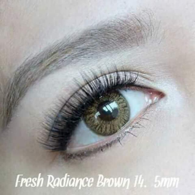 Natural Contact lens 14.2 mm Shopee Philippines