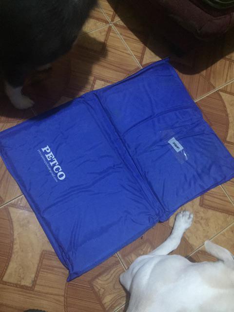 chilly mat for dogs reviews