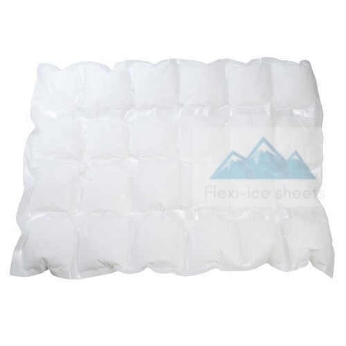 ice pack substitute