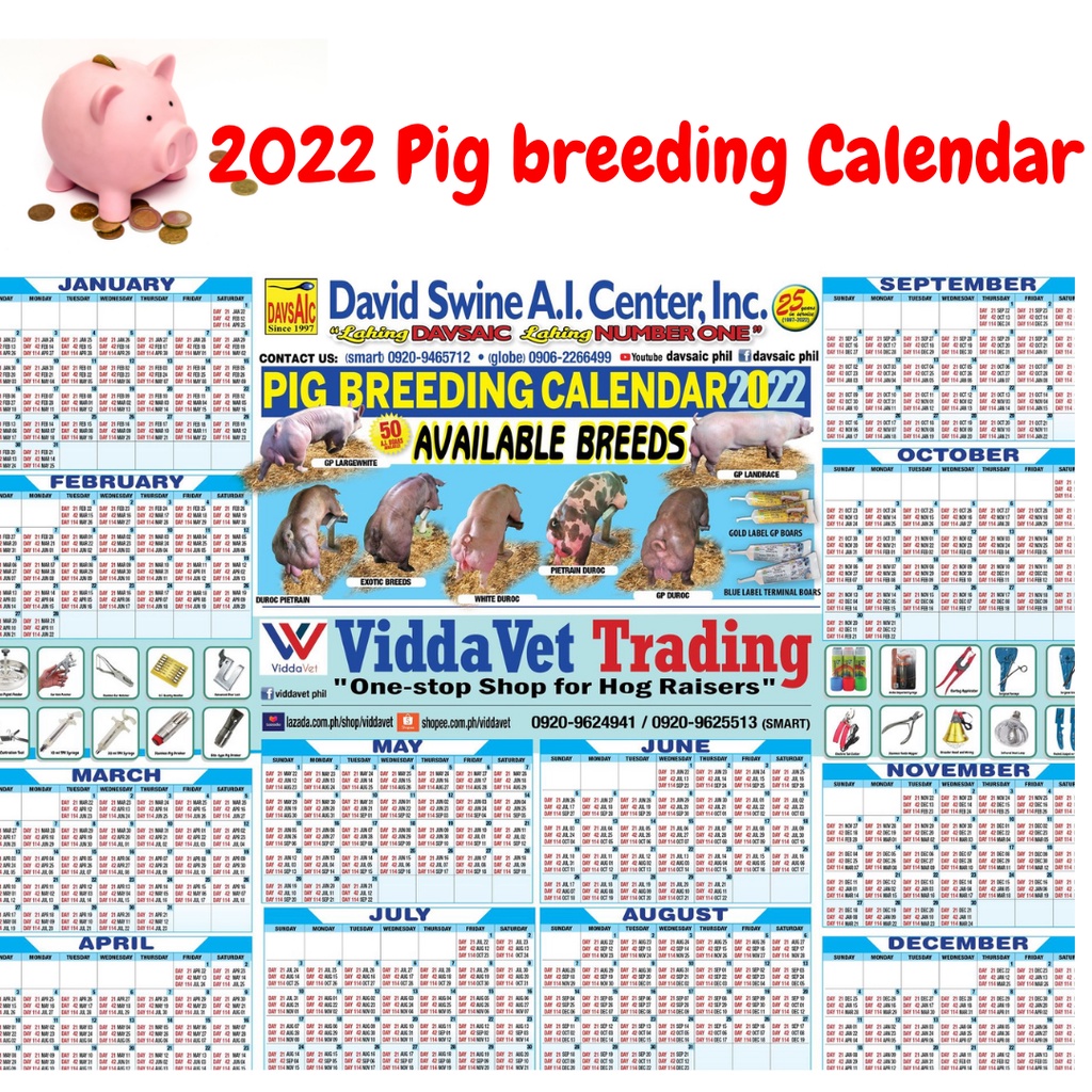 DAVSAIC VIDDAVET 2022 PIG GESTATING BREEDING CALENDAR Shopee Philippines