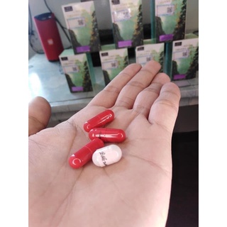 propan with iron capsule LingZhi lin zhi Vitamins Original Pampataba Vitamins For Adults/Kids Ginse #4