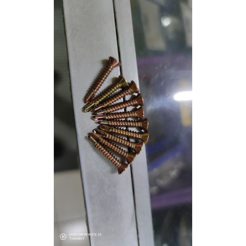 Hardie Screw / Hardie Drive / Ficem Screw 1 Inch (Sold Per 10pcs