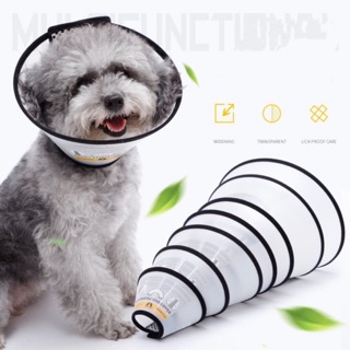 buy elizabethan collar