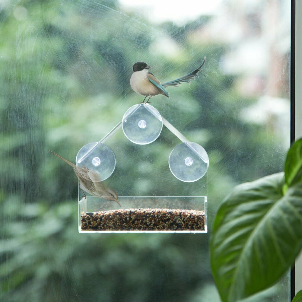 Suction Cup Squirrel Proof Stay Window Wild Keeps Dry Triangle