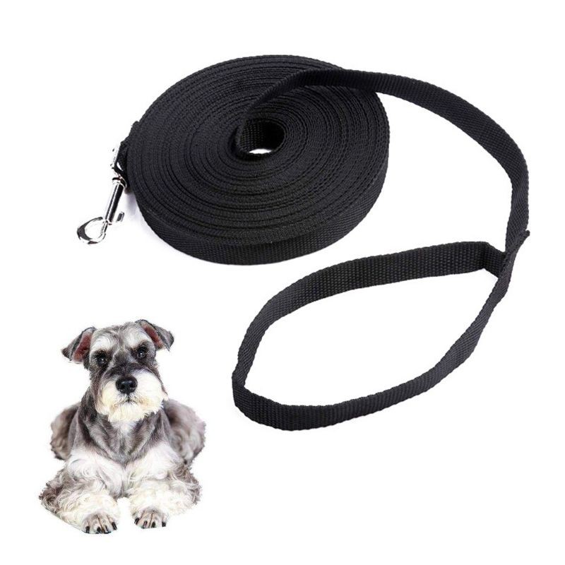 nylon dog leash