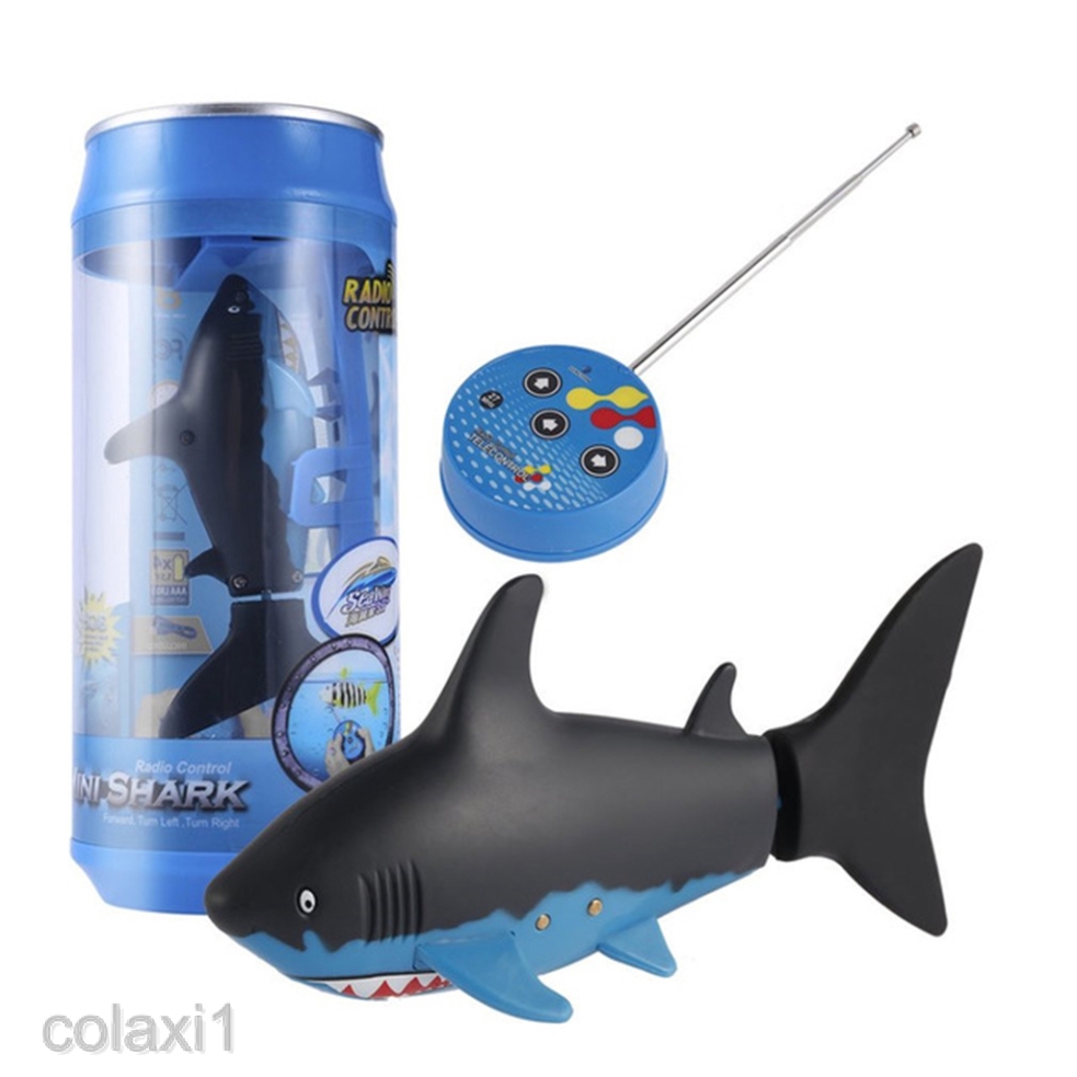 radio control shark