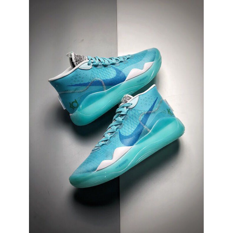 nike zoom basketball