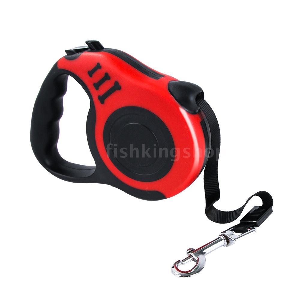 the dog leash