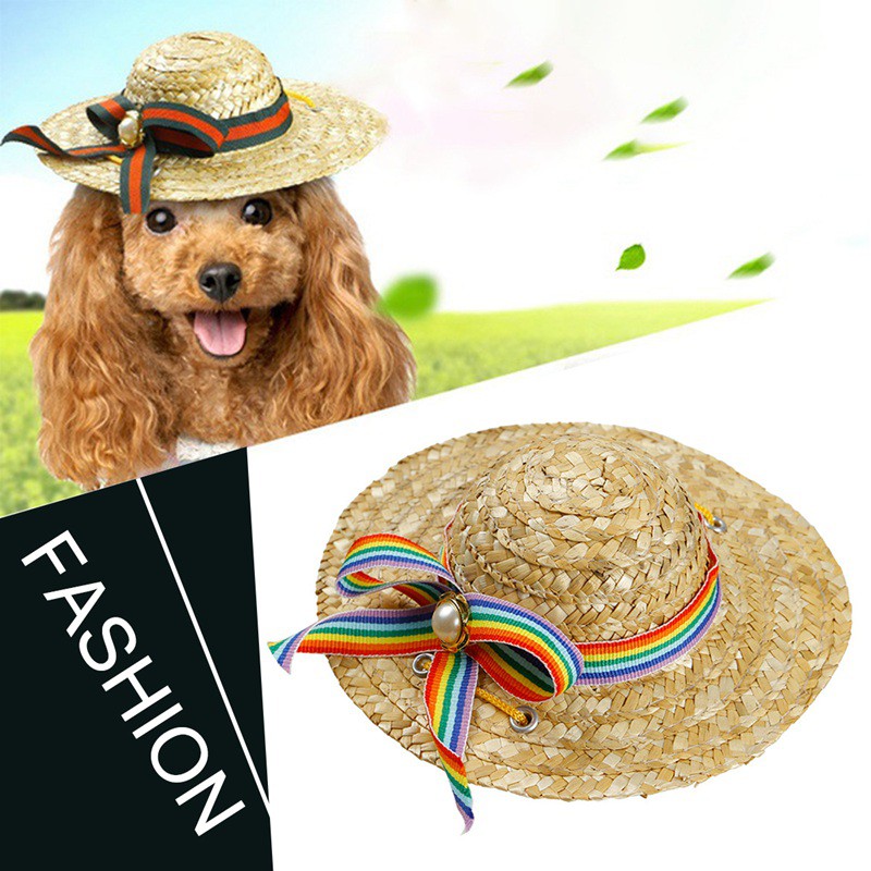 sombrero dog
