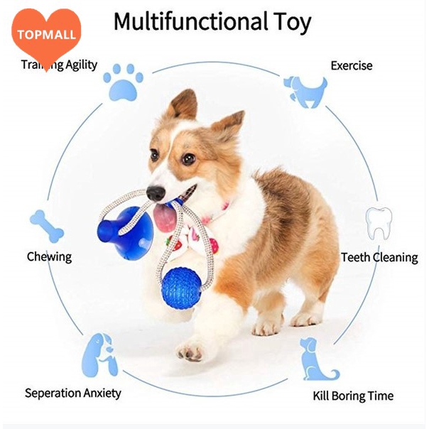 suction dog toy