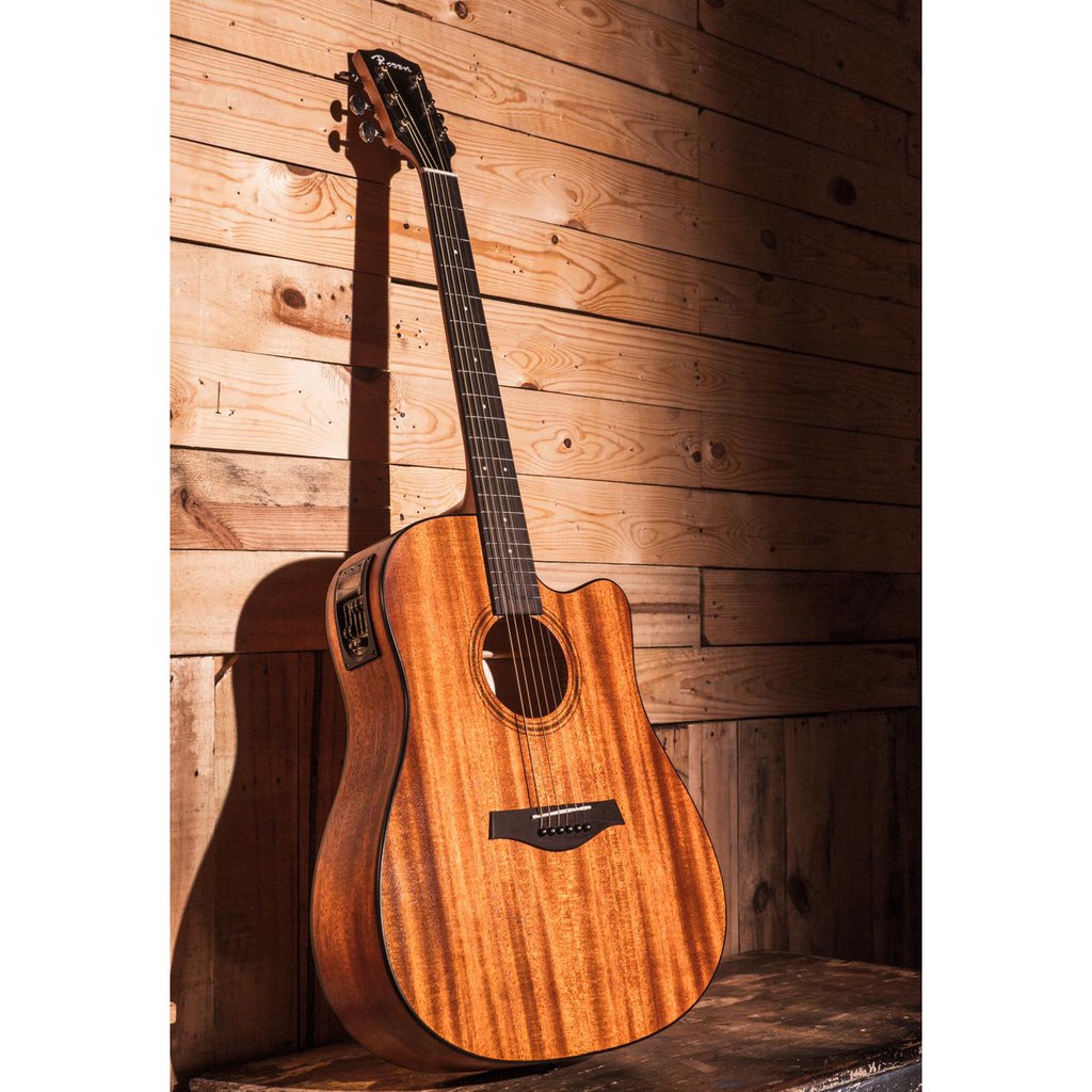 Rosen Acoustic Guitar 41 Inches with Builtin 5way Equalizer Shopee