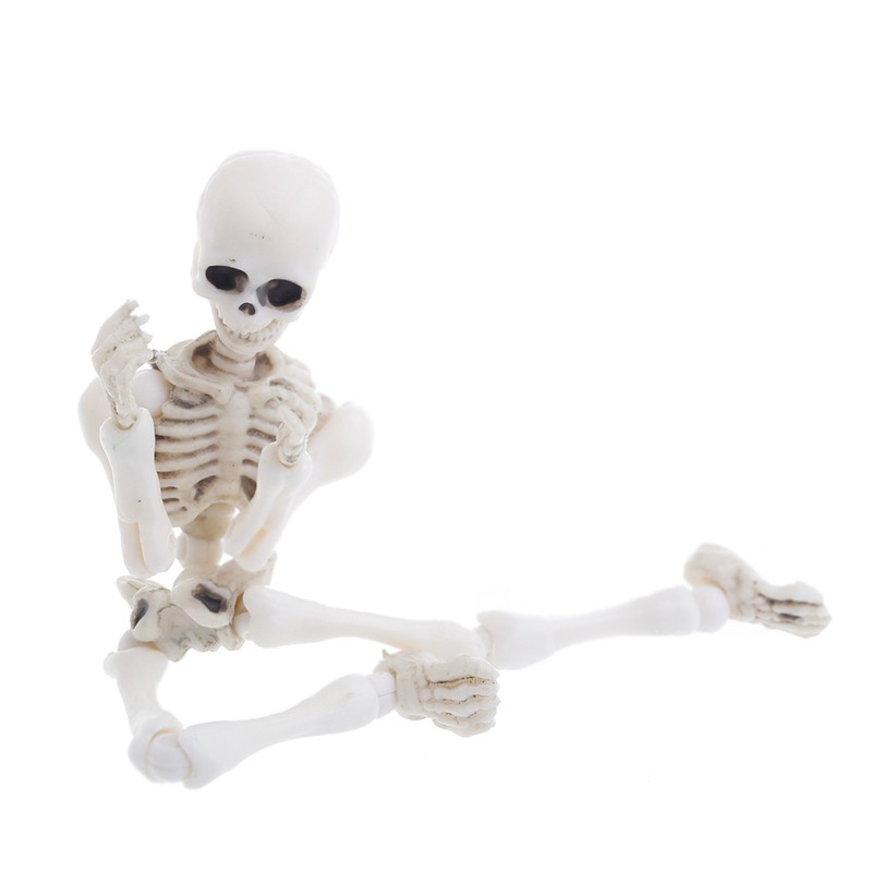 toy skeleton bones