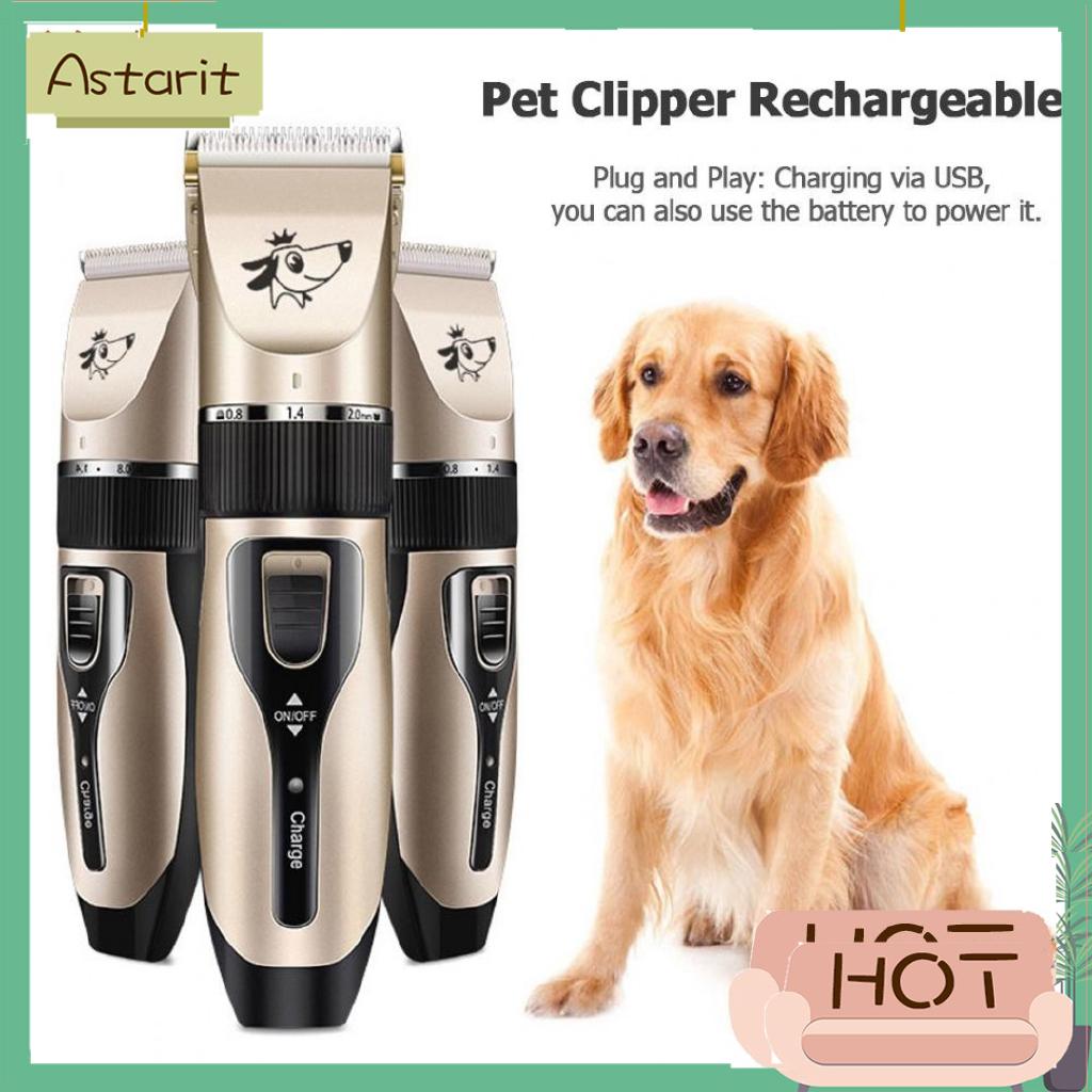 electric dog clippers for sale