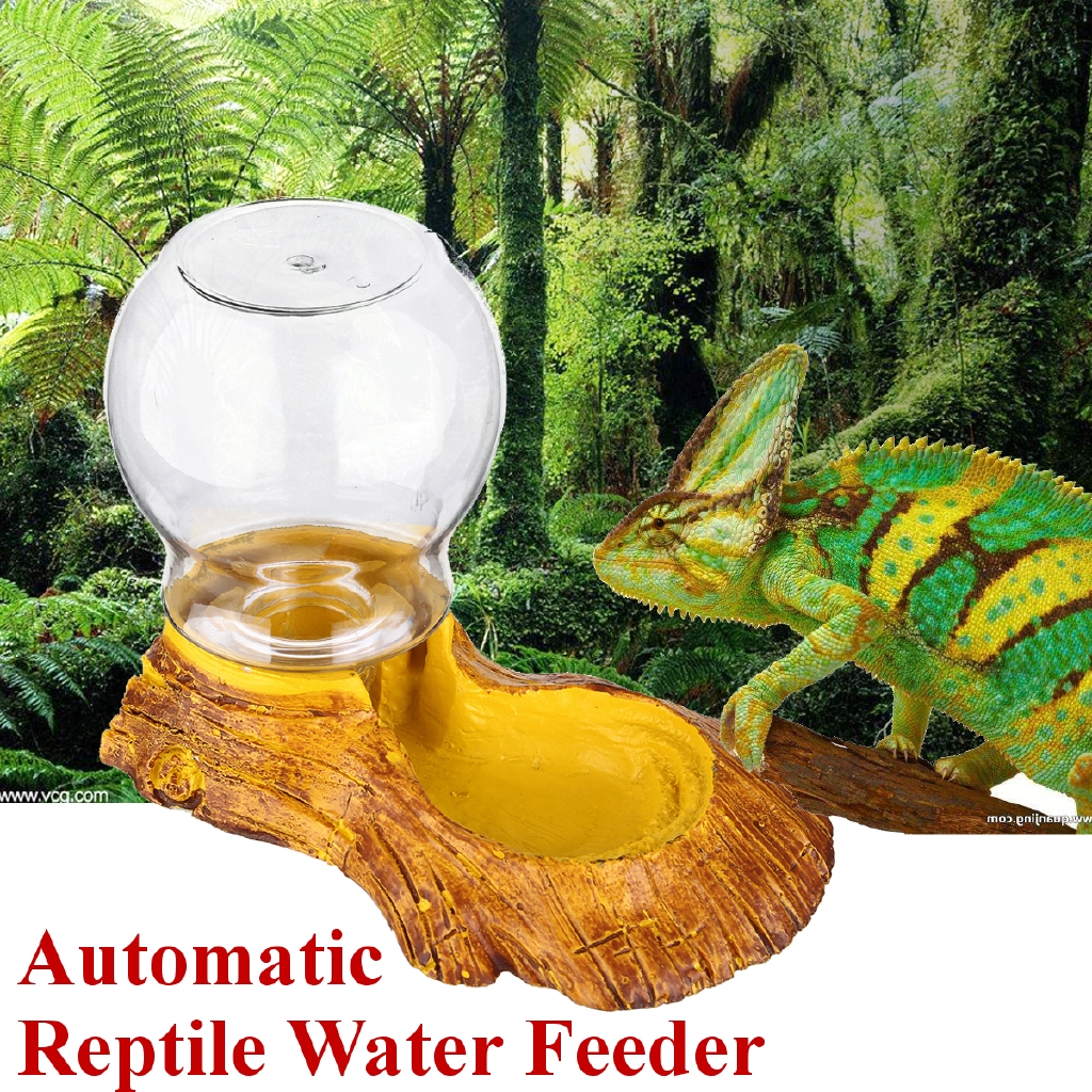 Automatic Water Feeder Drinking Bowl Reptile Amphibians Shopee