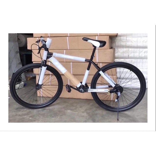 flatland bicycle