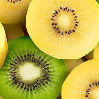New Store Offers Philippines Ready Stock 100pcs Kiwi Fruit Seeds - Green Kiwi Seeds - Yellow Golden  #4