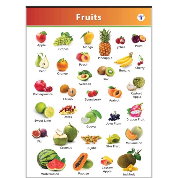 A4 Laminated Educational Chart | Shopee Philippines