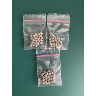 Vegetable Seeds Wholesale 1 Shopee Philippines