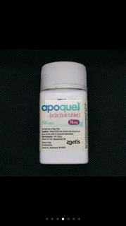 APOQUEL 16 MG SOLD per tablet P200/tab ( strictly w RX ) pack of 7 tablets #4
