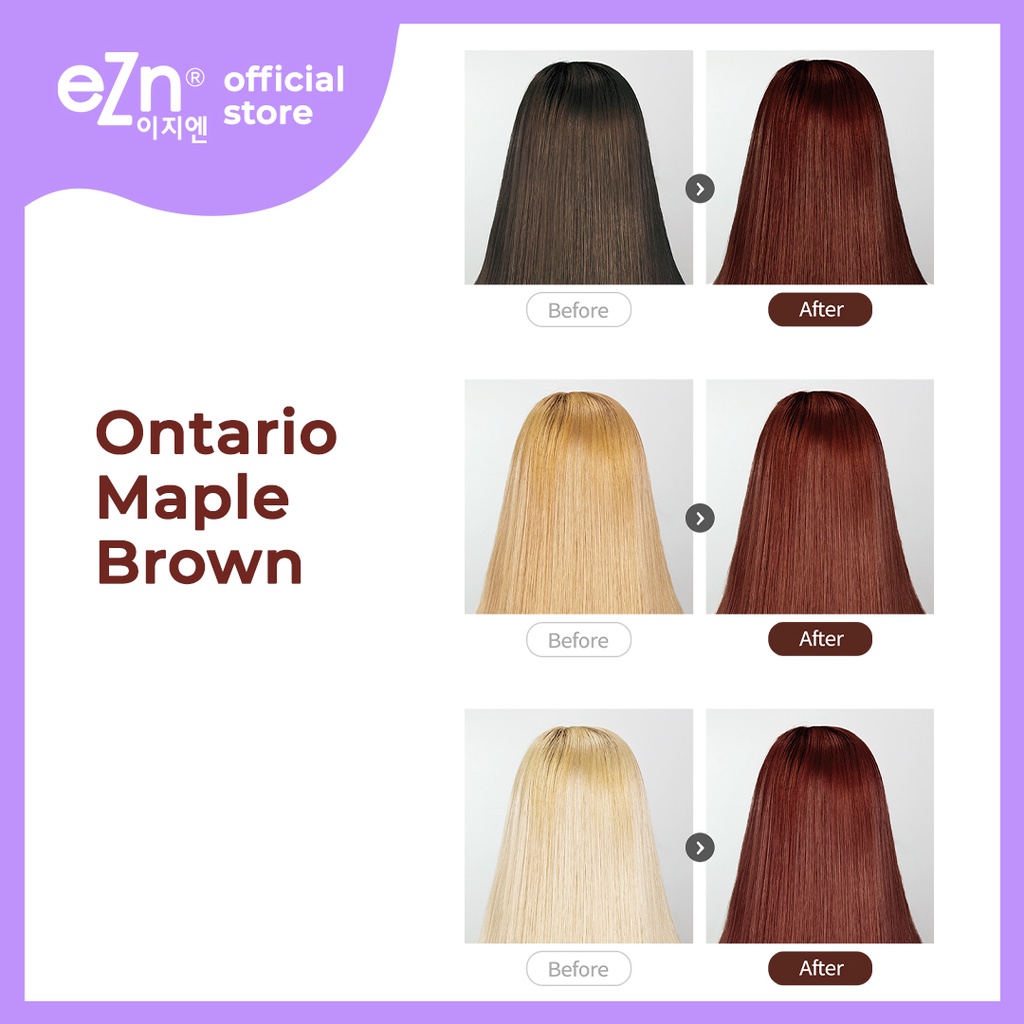 eZn Pudding Hair Color Ontario Maple Brown 2 pcs Bundle Set | Shopee  Philippines