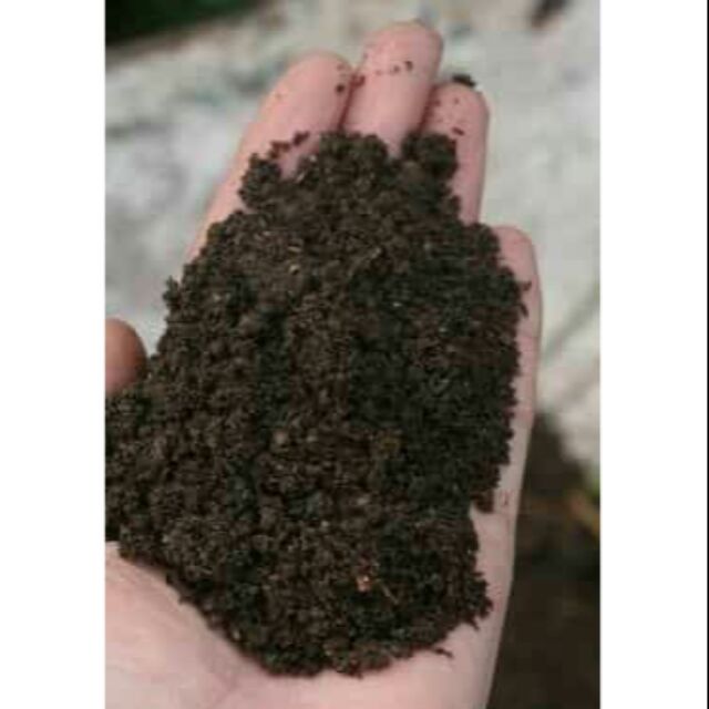 Pure Vermicast Soil/1Kg Shopee Philippines