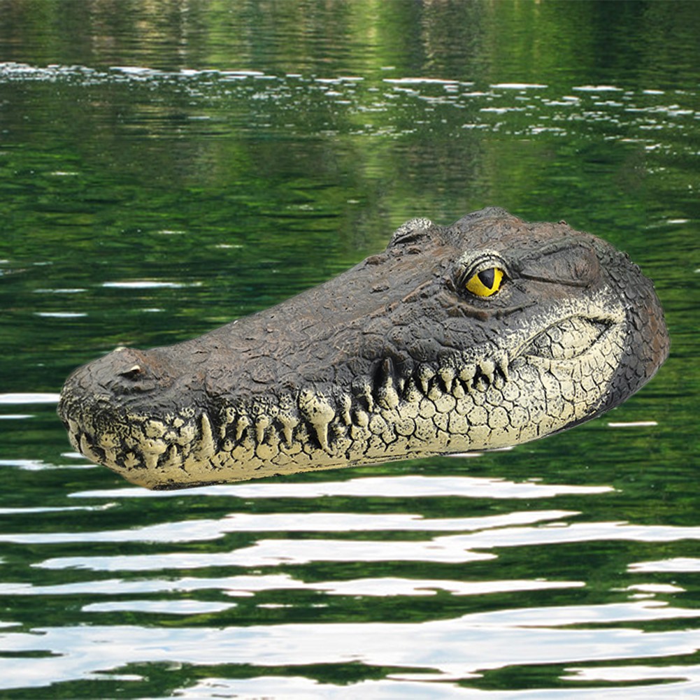 alligator head rc boat