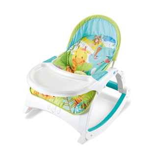 2 in 1 baby rocker