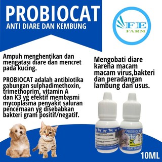 Cat Medicine For Digestive Disorder Diarrhea Diarrhea Disorder Priobiocat Diarrhea Drug Digestive Vitamins Anti Creckling #5