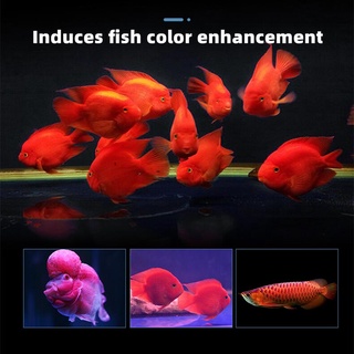 Yee Nano Bacteria Culture Ball  Aquarium Filter Materials  Aquarium 12 in 1 Filter Bio Media Bacteria House #5