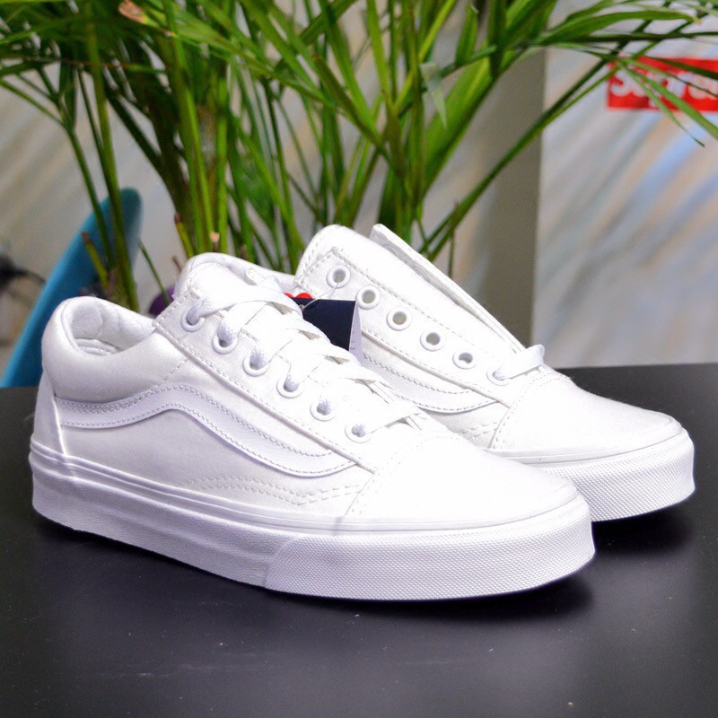 white canvas shoes vans