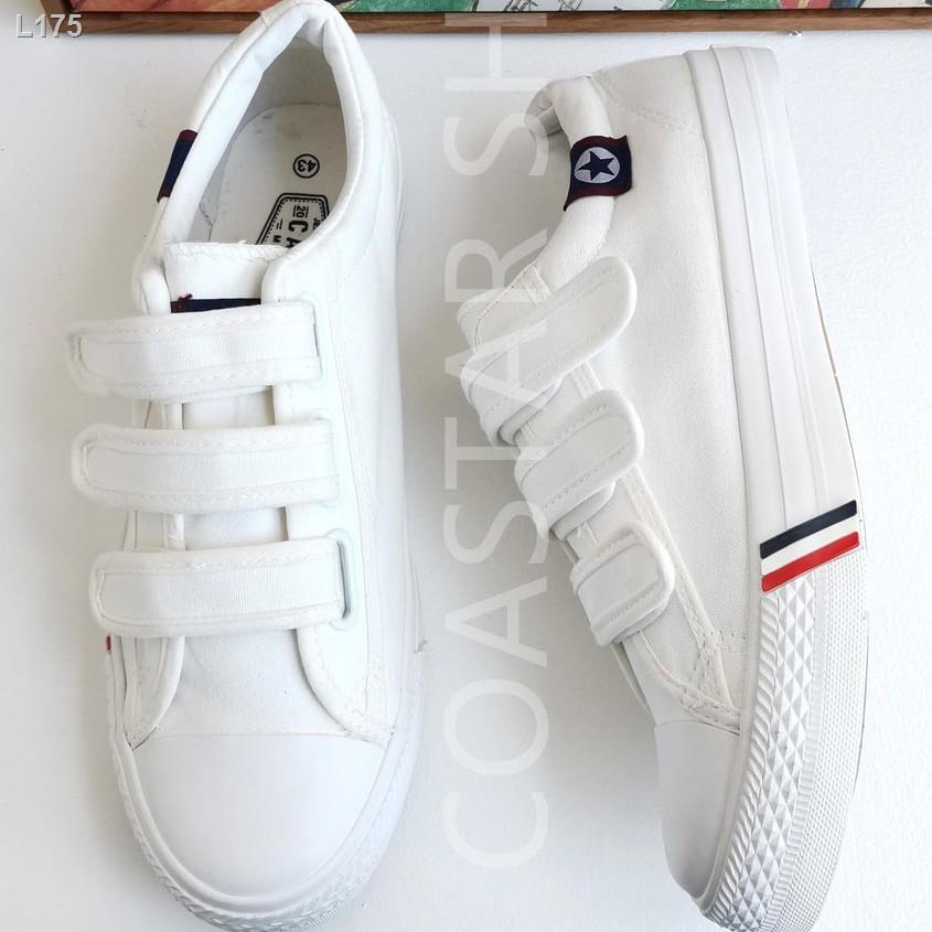 canvas shoes for men lowest price