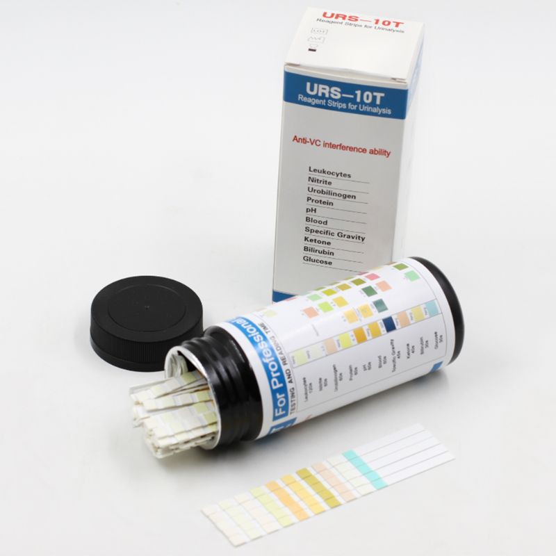 100 Strips URS10T Urinalysis Reagent Strips 10 Parameters Urine Test