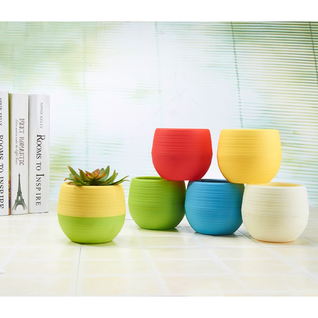 Self Watering pot ( Egg Type ) for Carnivorous plants, Cactus and